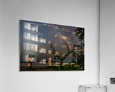 night lights Acrylic Print