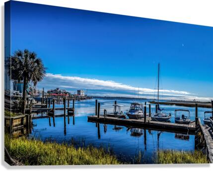 Blue Sky Seas Canvas Print