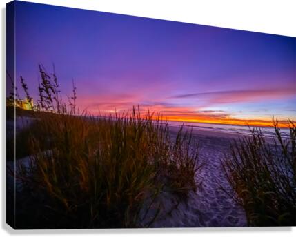 New Day Beginnings Canvas Print