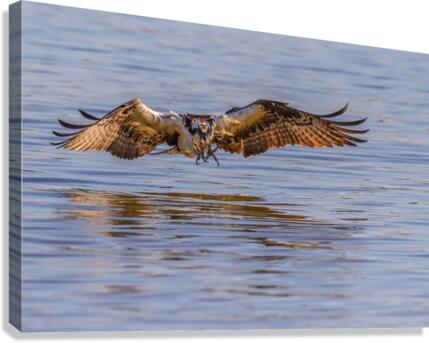 Coming In Hot Canvas Print