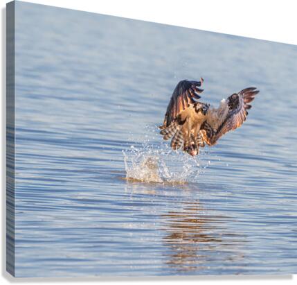 Gone Fishing Canvas Print