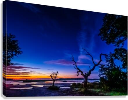 Under The Stars Canvas Print