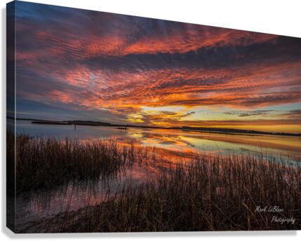 New Day Canvas Print