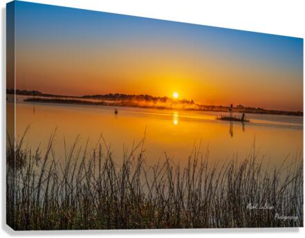 Morning Glow Canvas Print