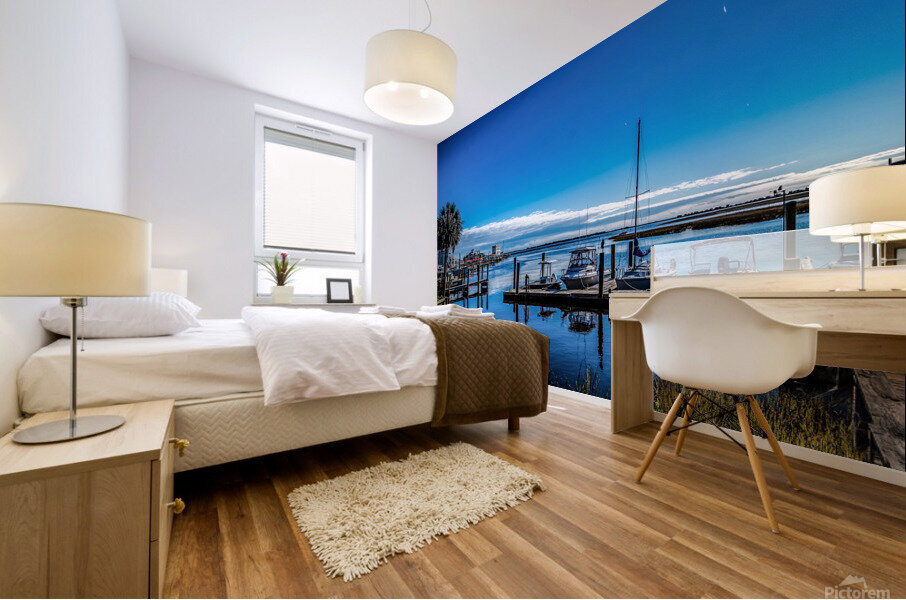 Blue Sky Seas Mural print