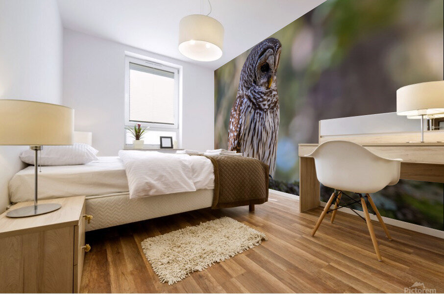 Owl Mural print