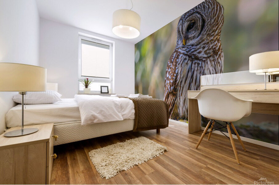 The Owl Mural print