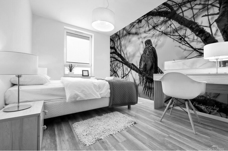 Black N White Mural print