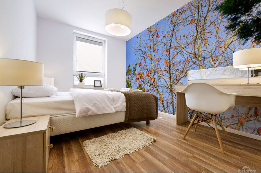 Fall Time Mural print