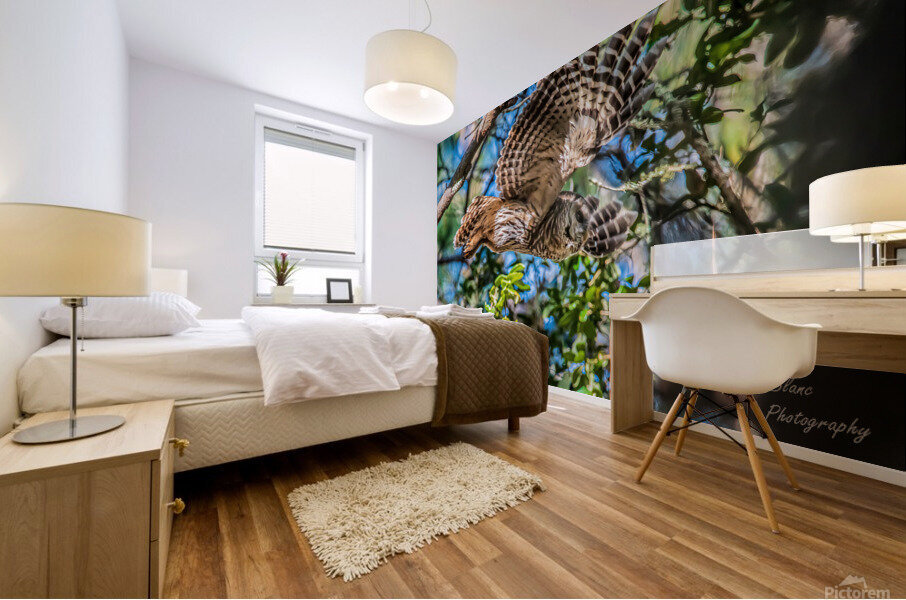 Free Fall Mural print