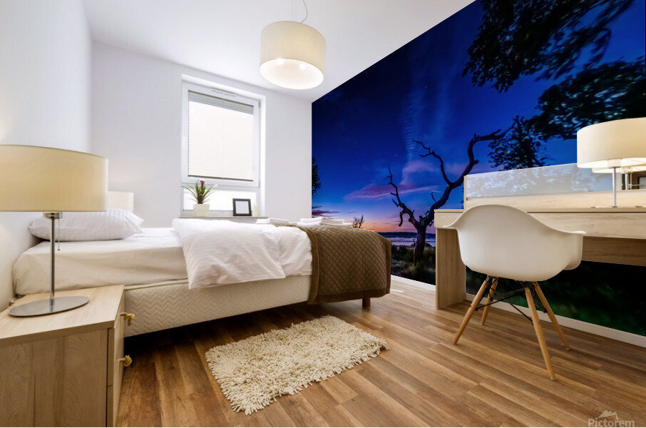 Under The Stars Mural print