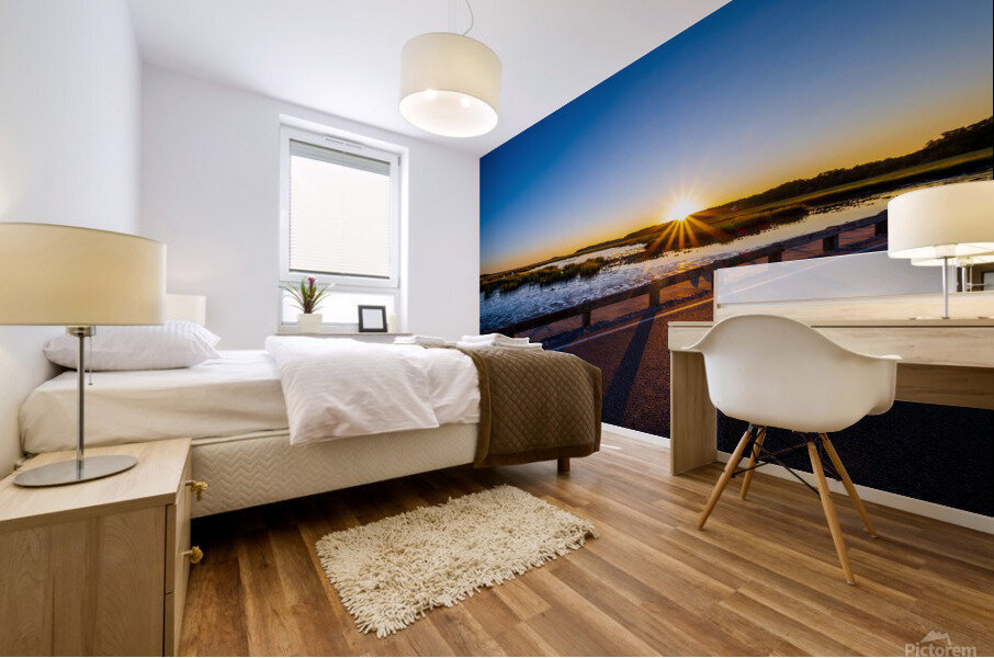 Causeway Mural print