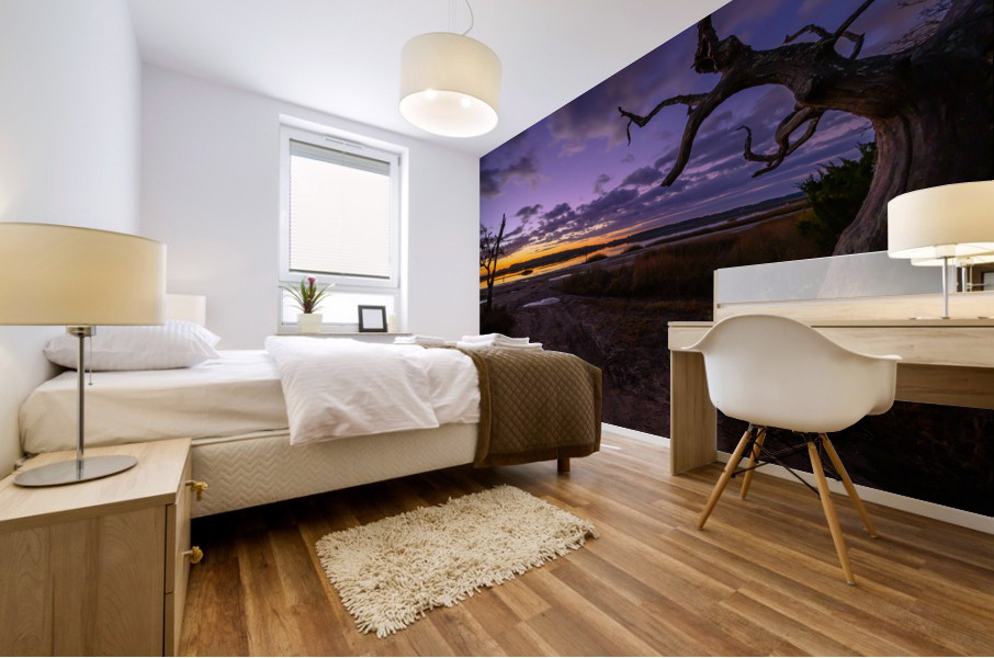 Sunrise Mural print