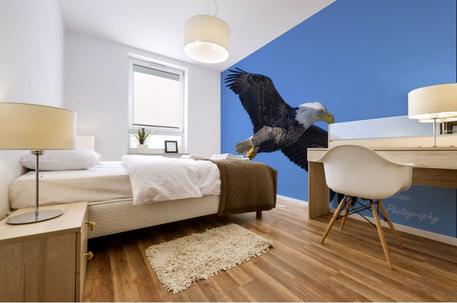 Bald Eagle Mural print