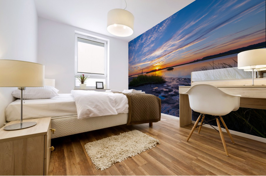 Marsh Land Mural print