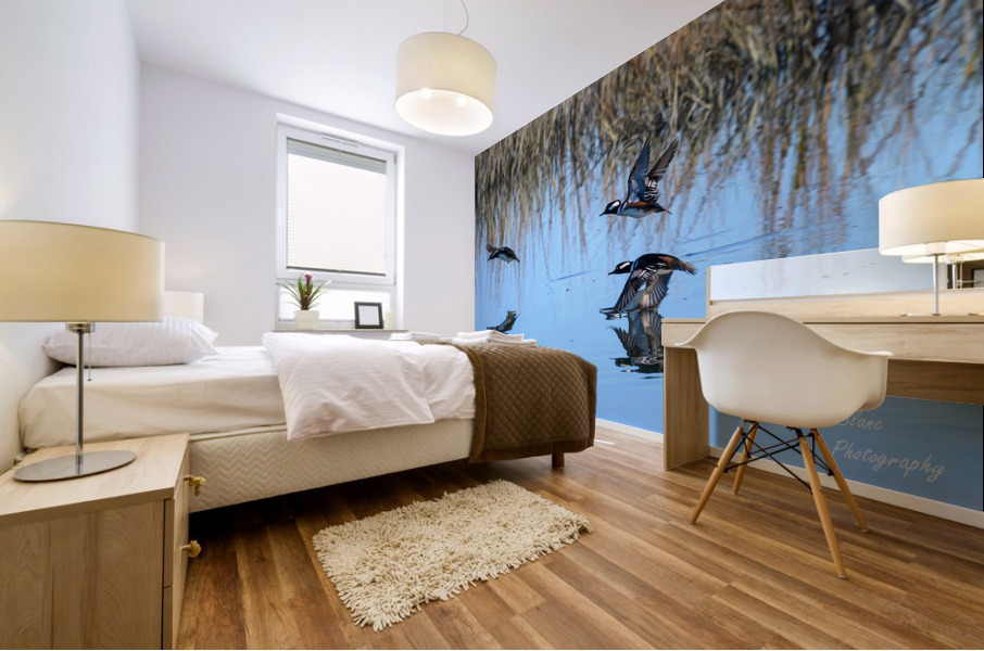 Take Off Mural print