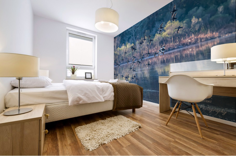 Reflections Mural print