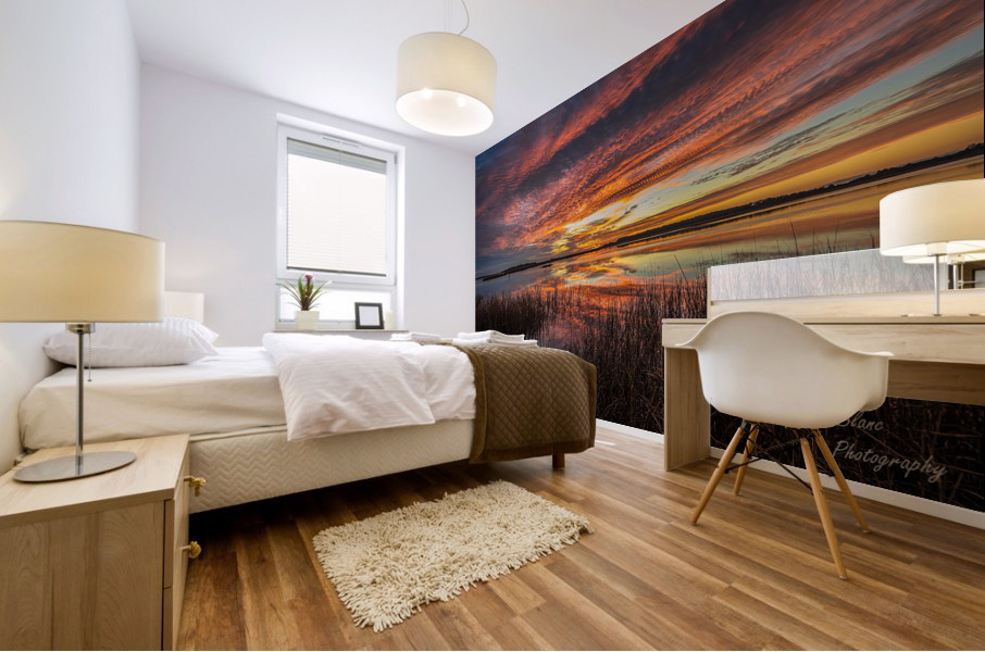 New Day Mural print