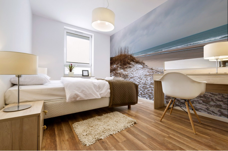 Beach Snow Mural print
