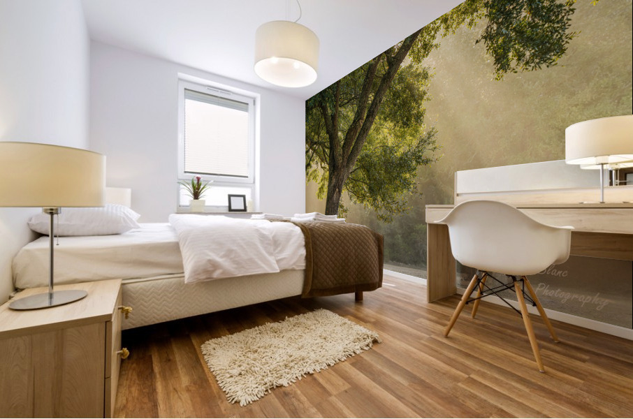 Sunlight Mural print