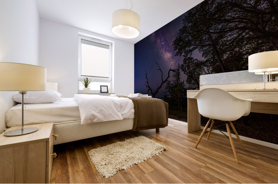 Milkyway Mural print