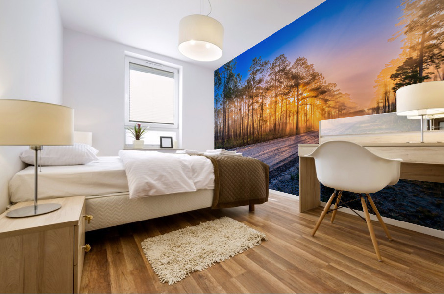 The Haze Mural print