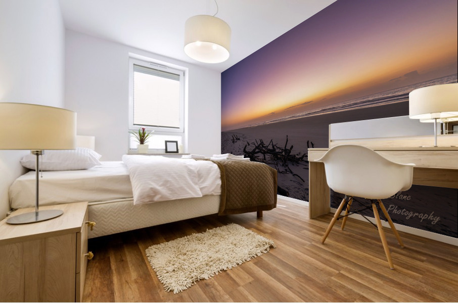 Drift Wood Mural print