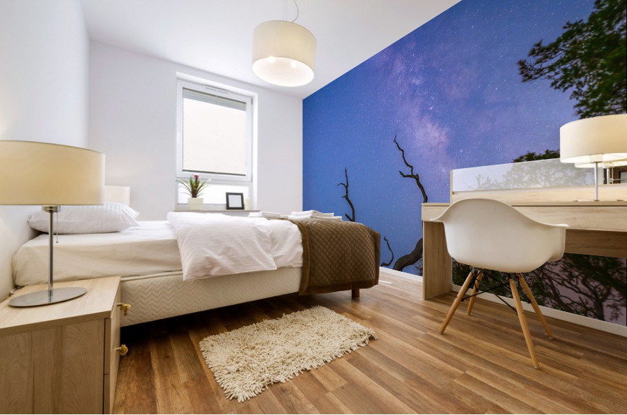 Skyscape Mural print