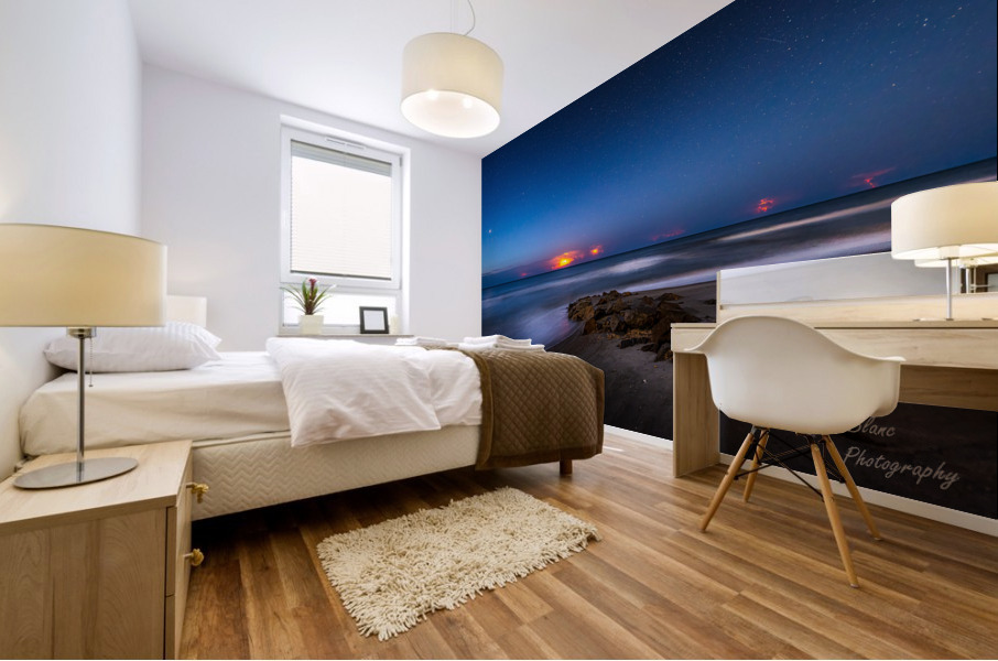 Rocky Coast Mural print