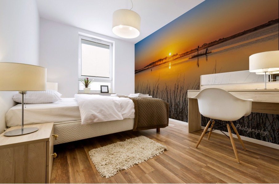 Morning Glow Mural print