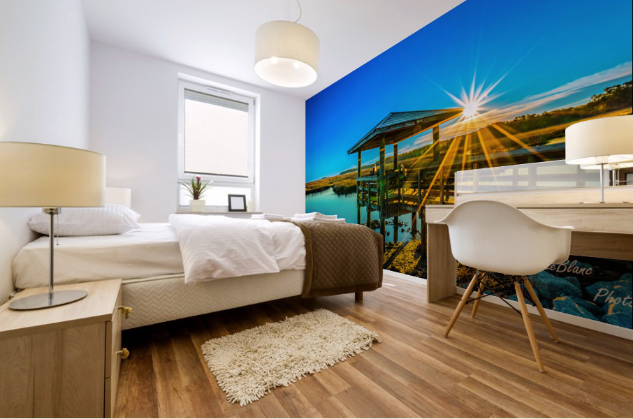Light Ray Mural print