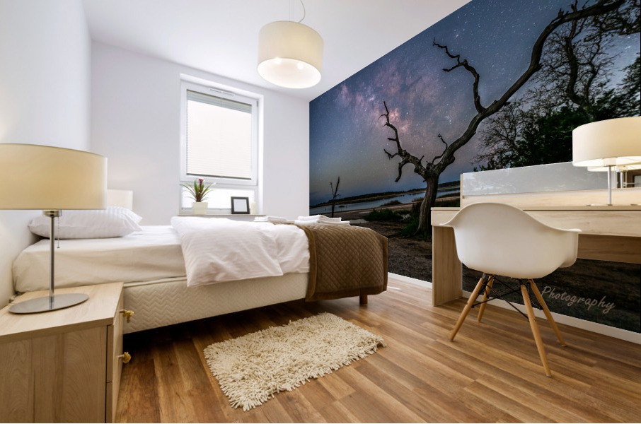 Over the top Mural print