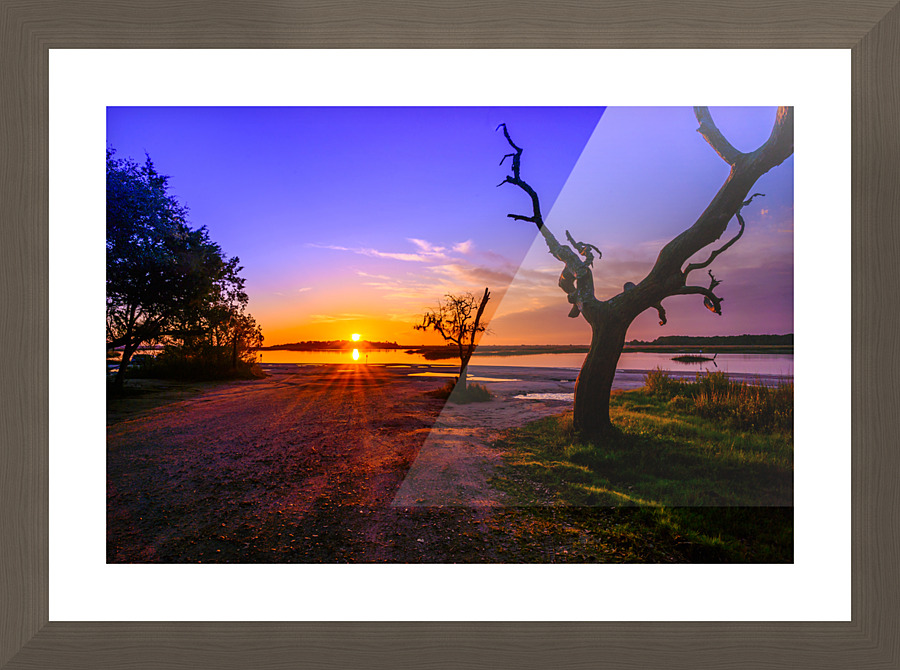 Purple Rise Picture Frame print
