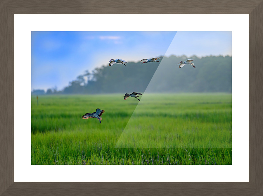 Greener Grass Picture Frame print