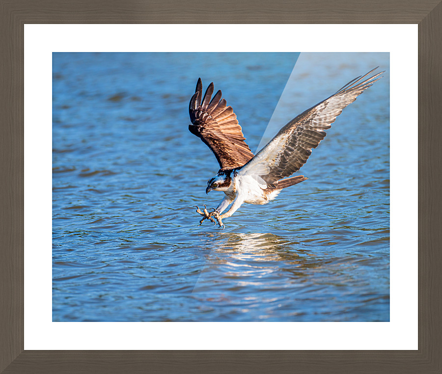 Going Down Picture Frame print