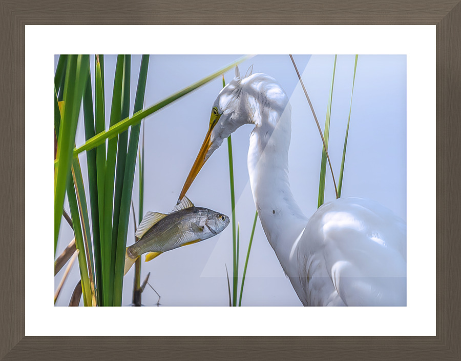 Lunch Is Served Picture Frame print