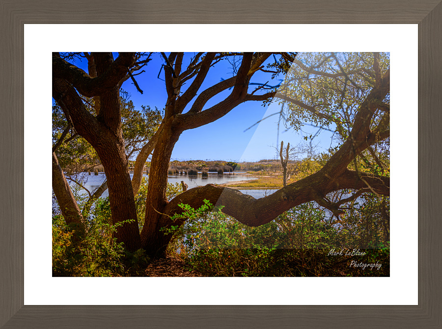 See Thru Picture Frame print