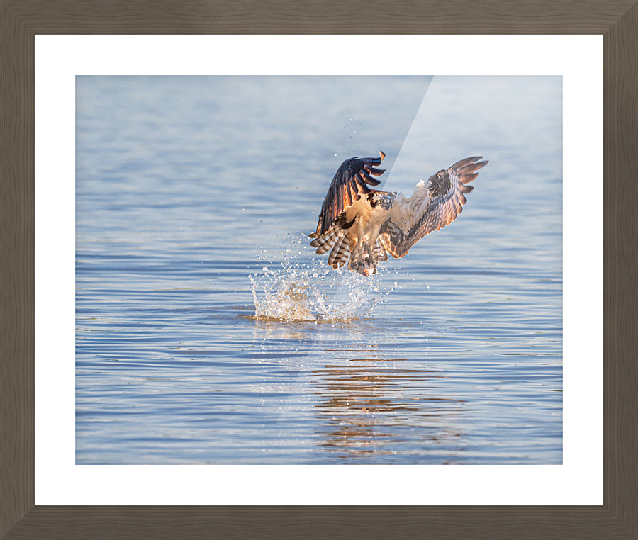 Gone Fishing Picture Frame print