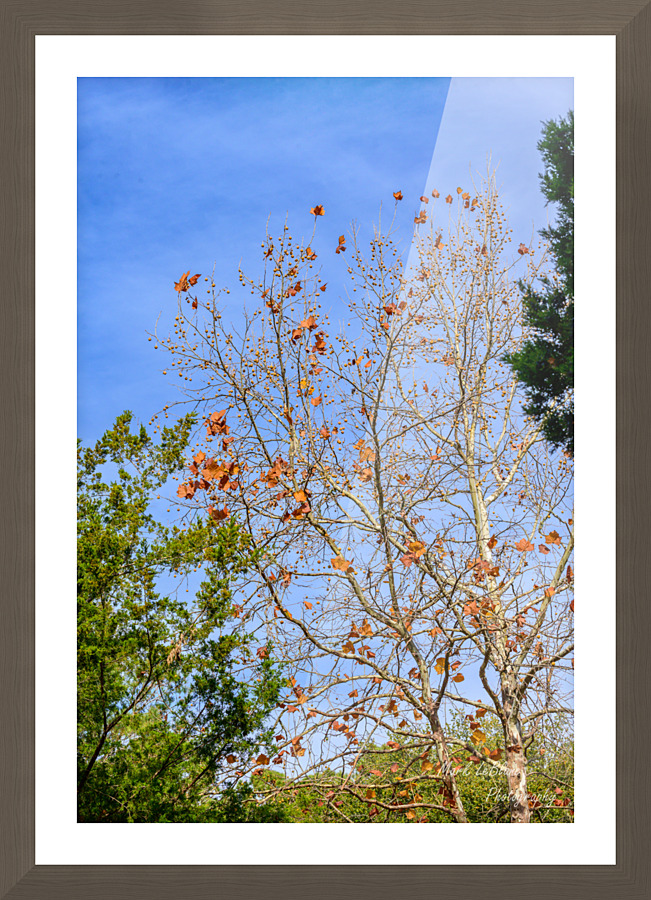 Fall Time Picture Frame print
