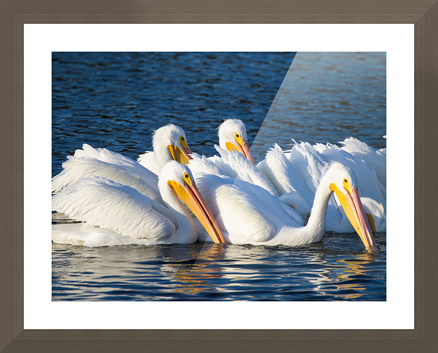 Feeding Time Picture Frame print