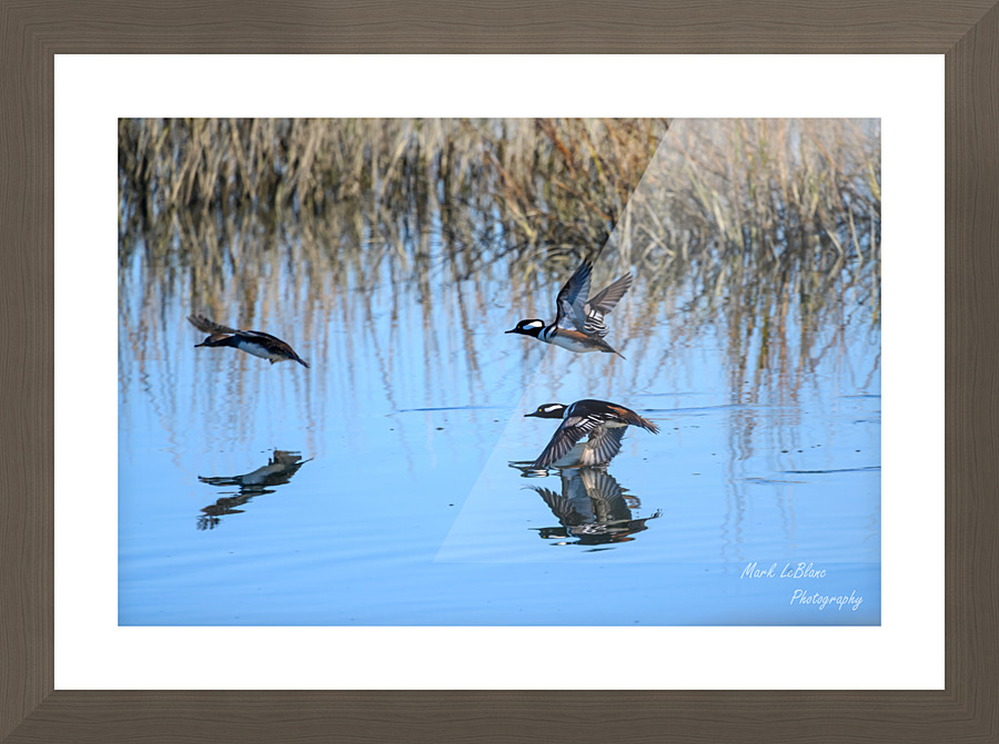 Take Off Picture Frame print