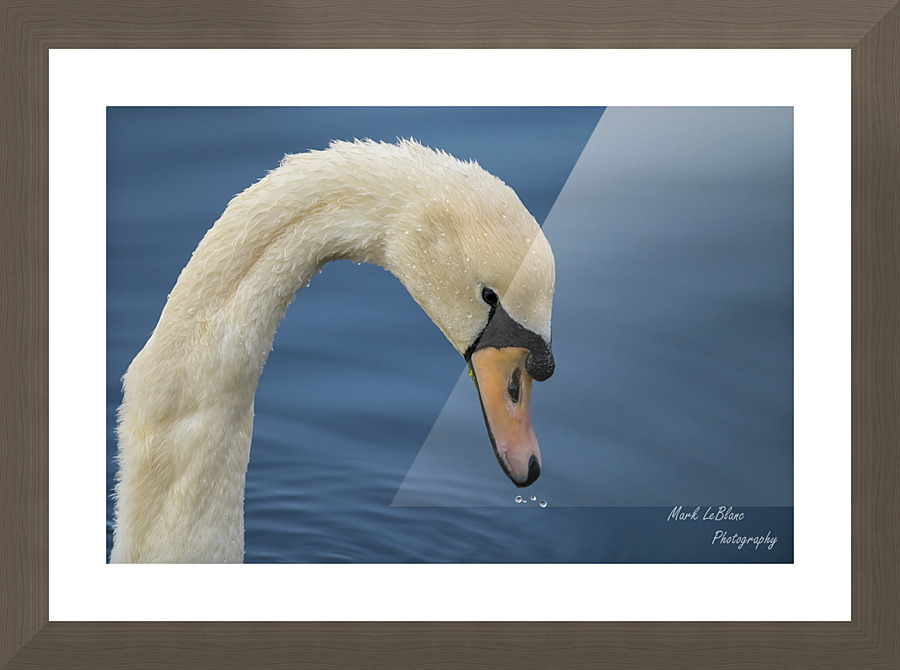 The Look Picture Frame print