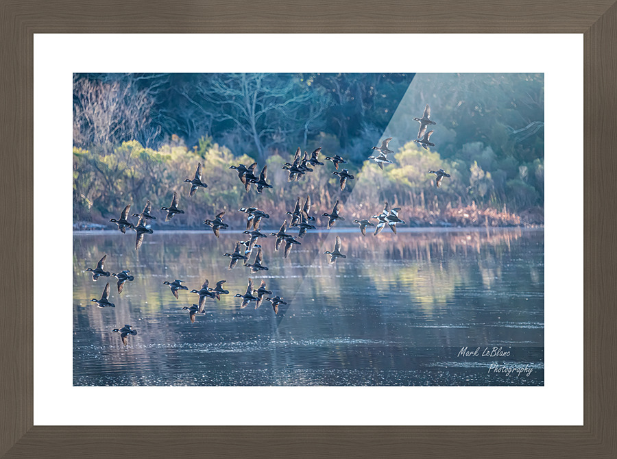 Reflections Picture Frame print