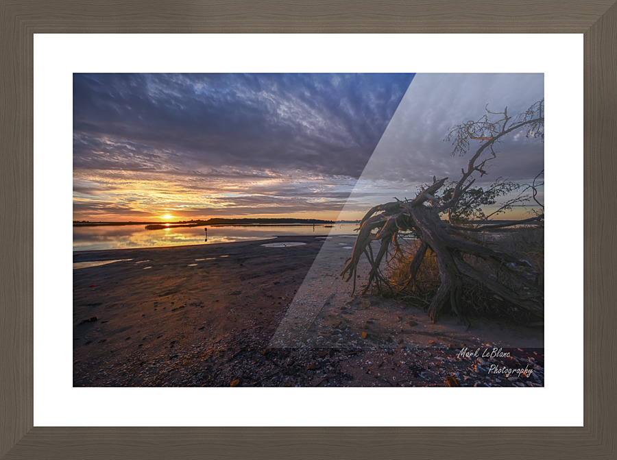 Roots Picture Frame print