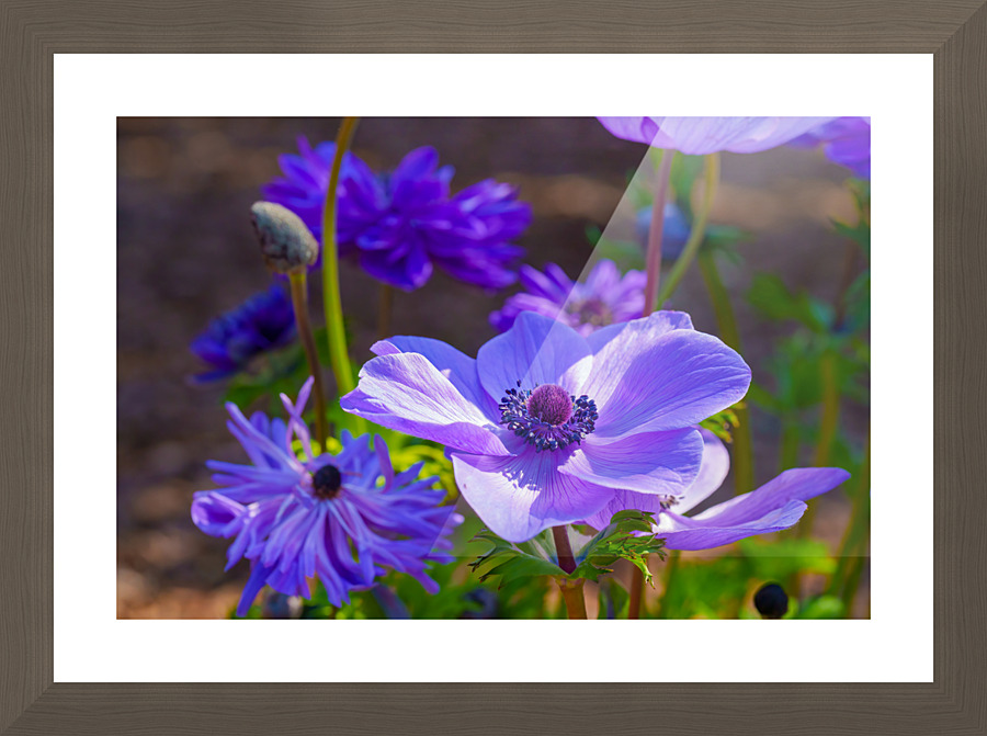 spring Picture Frame print