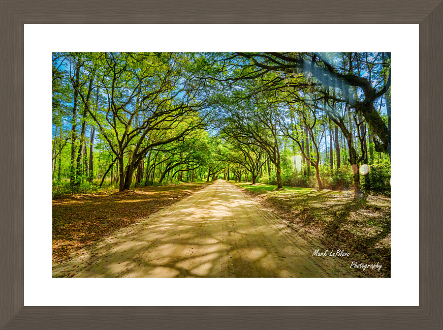 Back Roads Picture Frame print