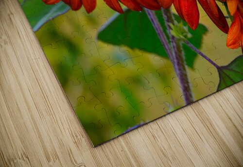 Sunflowers MLeBlanc puzzle