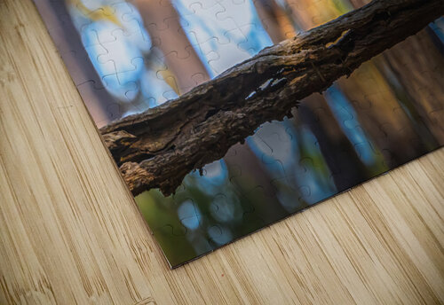 Thru The Woods MLeBlanc puzzle