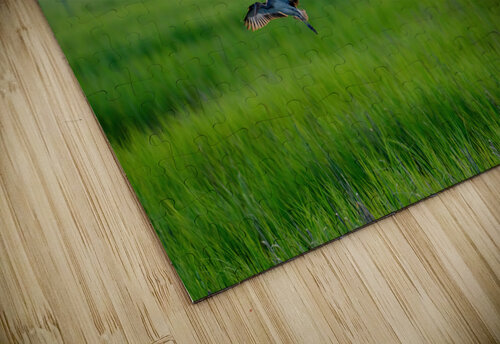 Greener Grass MLeBlanc puzzle