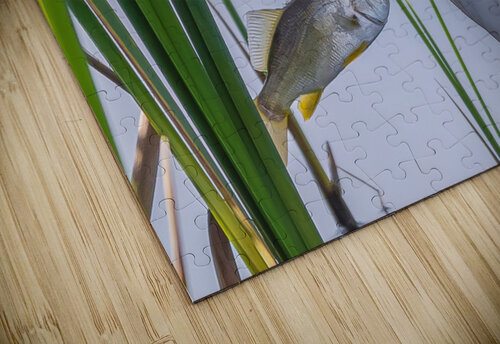 Lunch Is Served MLeBlanc puzzle